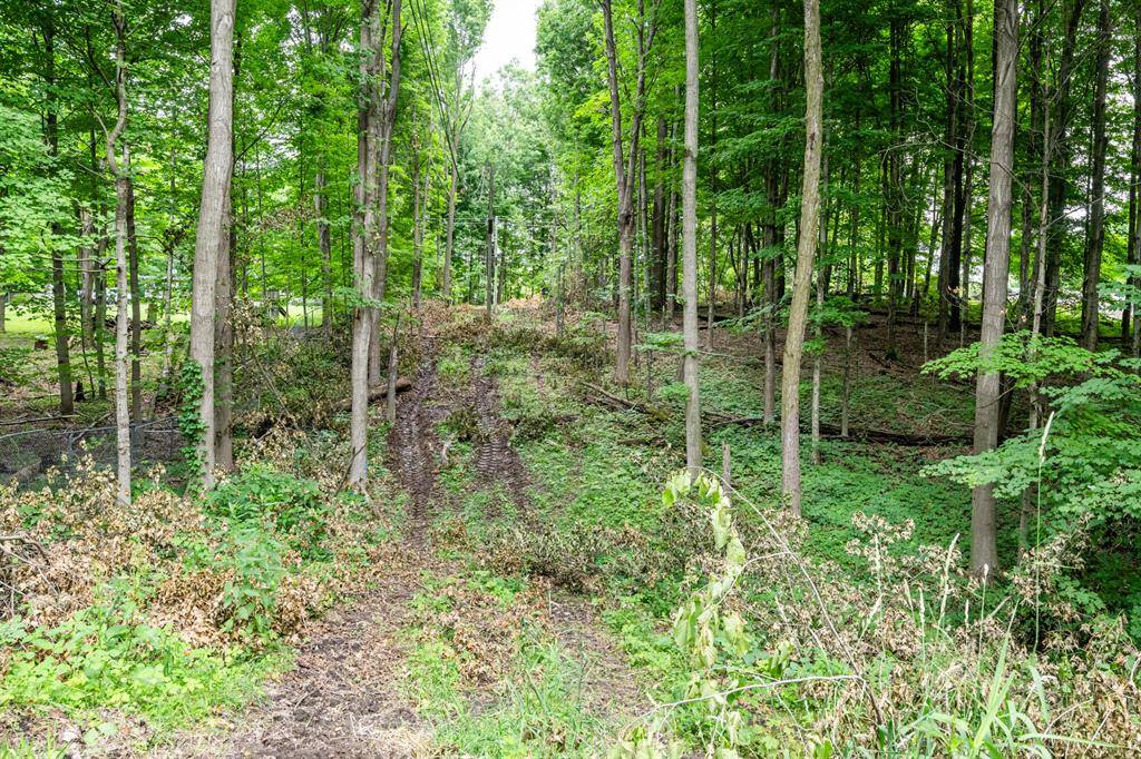 Penn Twp, MI 49095,0 Dutch Settlement Street