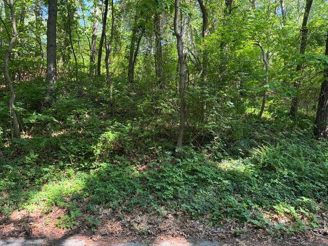 Grand Beach Vlg, MI 49117,4 Lilac Lane
