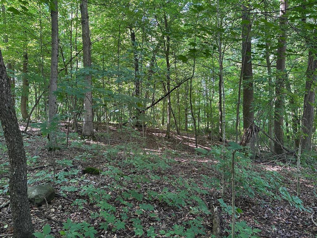 Jefferson Twp, MI 49031,0 M-60