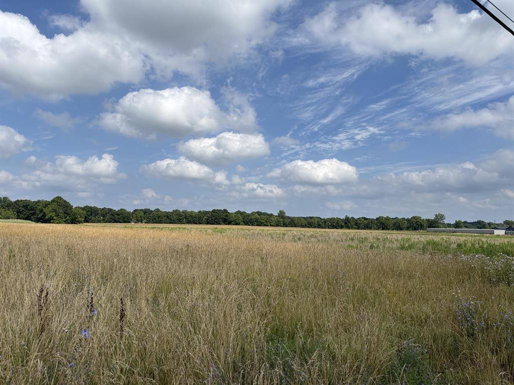 Royalton Twp, MI 49085,00 S M139 B