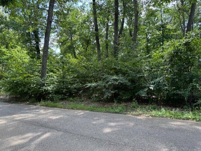 New Buffalo Twp, MI 49117,52300 E Arnold - LAND Drive