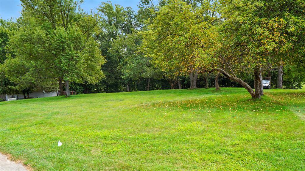 Ovid Twp, MI 49036,583 Blackberry Drive