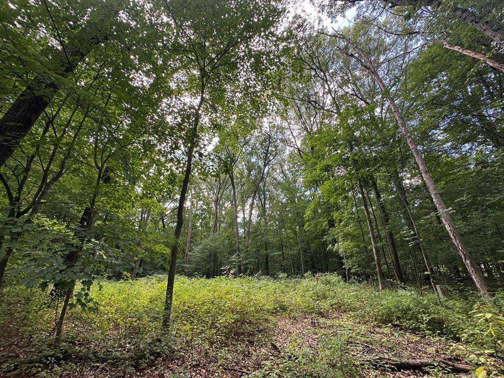 Benton Twp, MI 49022,4540 Ross Drive