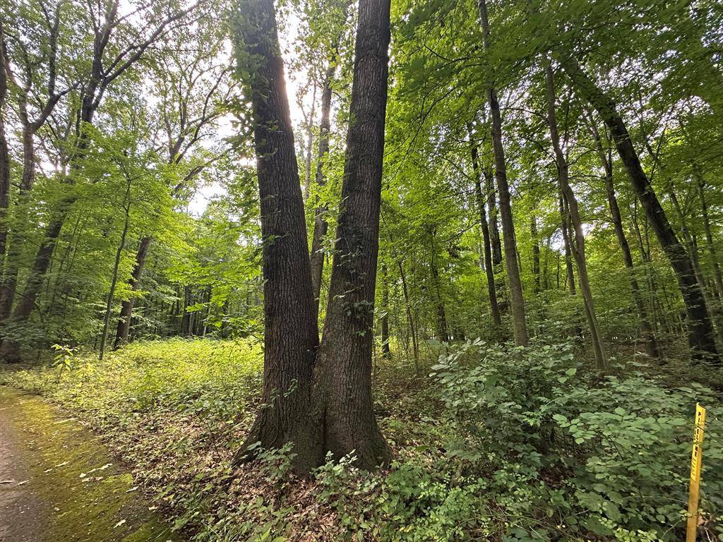 Benton Twp, MI 49022,4540 Ross Drive