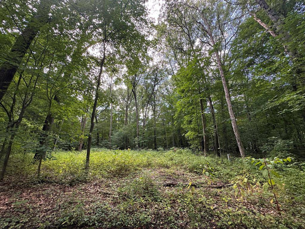 Benton Twp, MI 49022,4540 Ross Drive