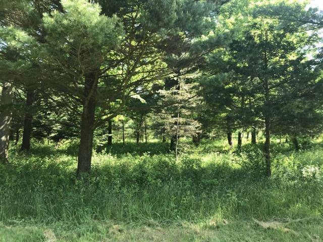 Ganges Twp, MI 49090,Lot 10 Creekwood Drive