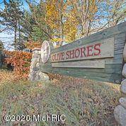 Port Sheldon Twp, MI 49460,0 Olive Shores D