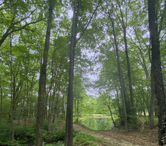 Saugatuck Twp, MI 49453,3368 Gaslight Lane Lot 7