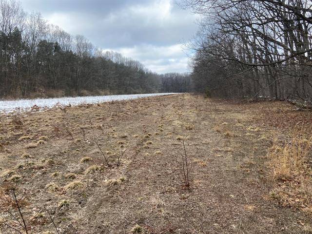 Robinson Twp, MI 49417,V/L 128th Ave Lot 6