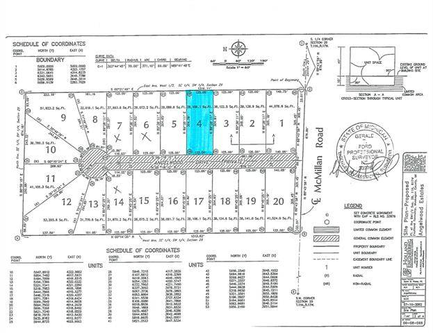 Fruitland Twp, MI 49445,Lot 4 Angelwood Drive