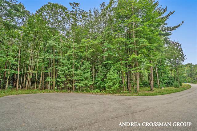 Saugatuck Twp, MI 49408,0 Pebble Lane 6