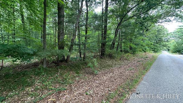 Cedar Creek Twp, MI 49457,0 E Michillinda Road Parcel A