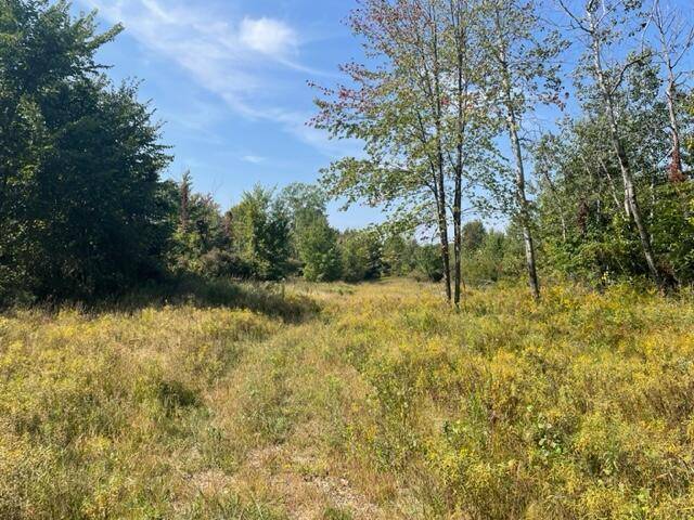 Arlington Twp, MI 49013,VL County Road 215