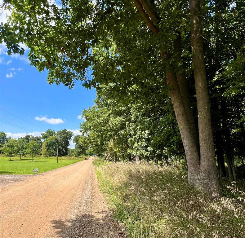 Westphalia Twp, MI 48894,Vacant Chadwick Road Modifier: Land