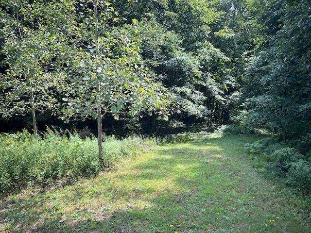 Colfax Twp, MI 49459,E Madison Road