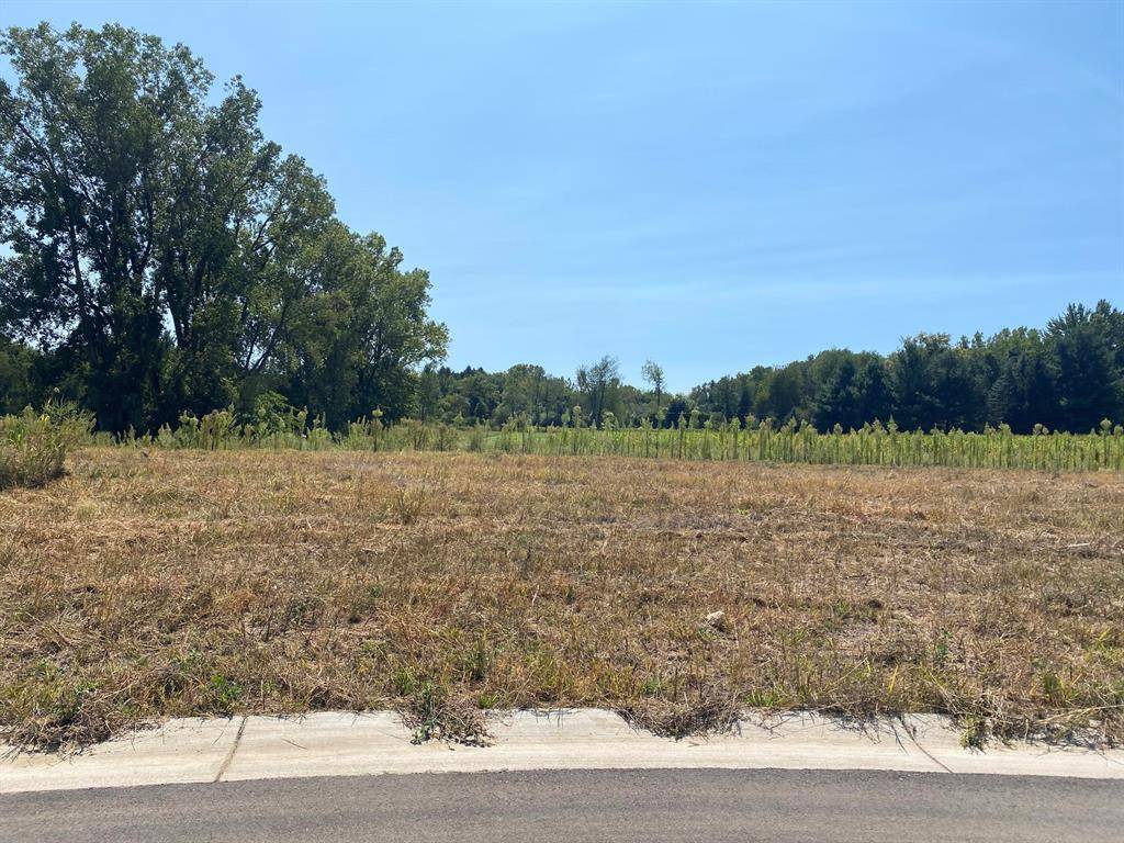 Allendale Twp, MI 49401,5724 Horizon Lane