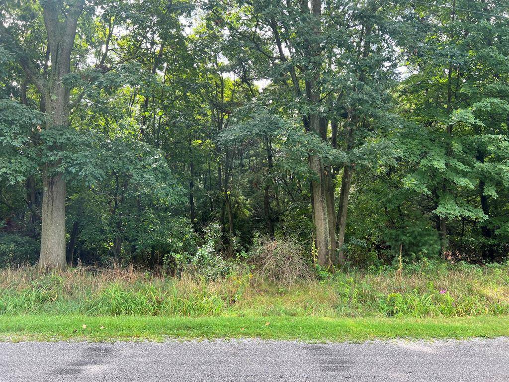 White River Twp, MI 49437,VL Hancock Road