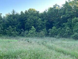 Cedar Creek Twp, MI 49457,4254 Ryerson Road Parcel 1