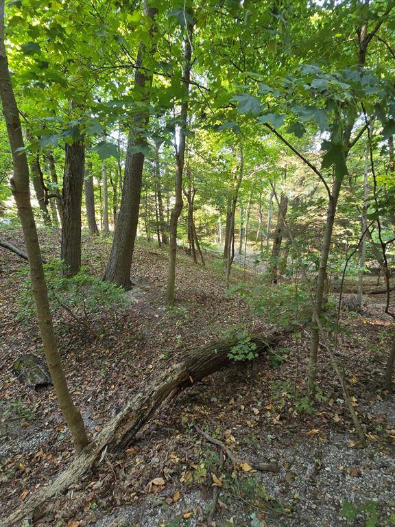 Laketown Twp, MI 49423,0 Vandermeulen Road