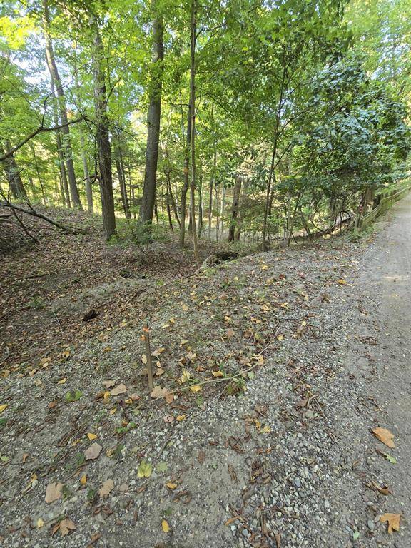 Laketown Twp, MI 49423,0 Vandermeulen Road