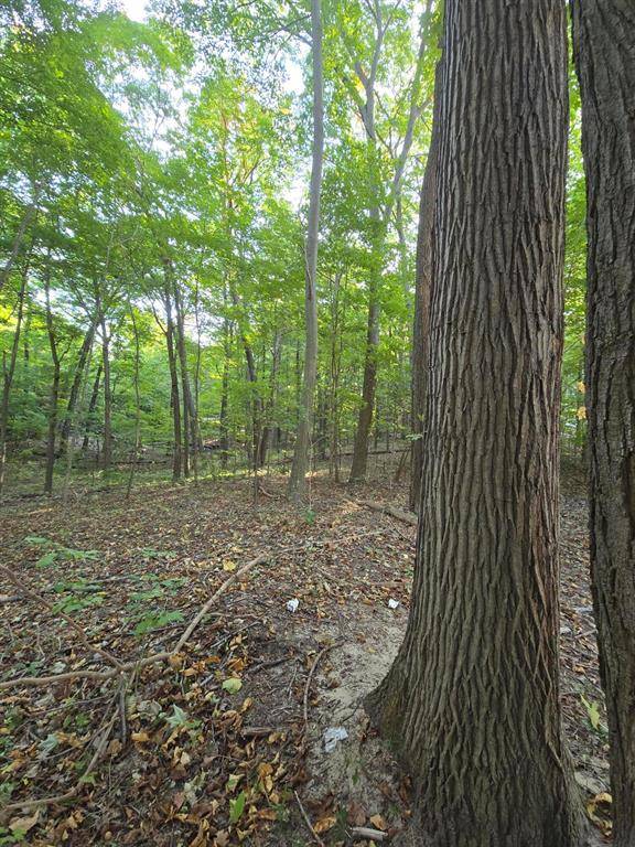 Laketown Twp, MI 49423,0 Vandermeulen Road