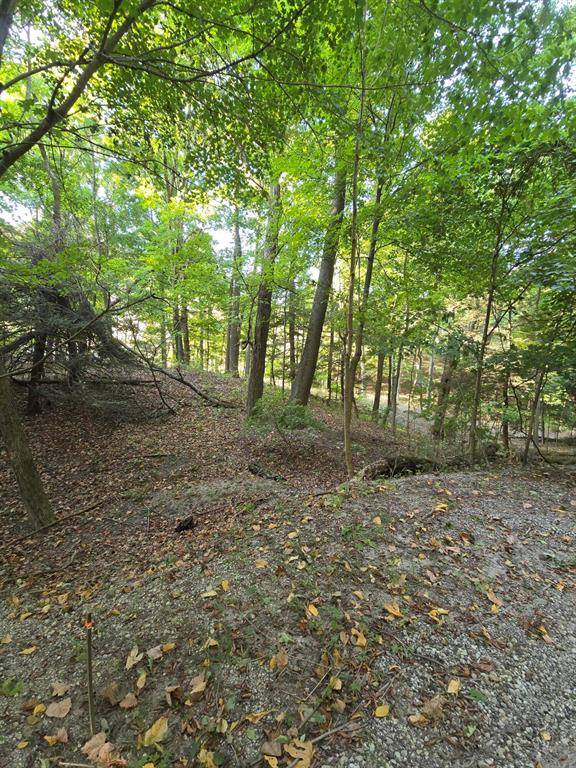 Laketown Twp, MI 49423,0 Vandermeulen Road