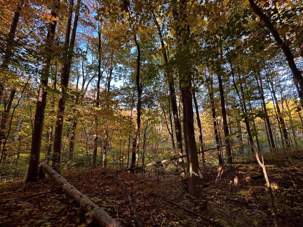 South Haven Twp, MI 49090,13777 Deer Creek Drive 7