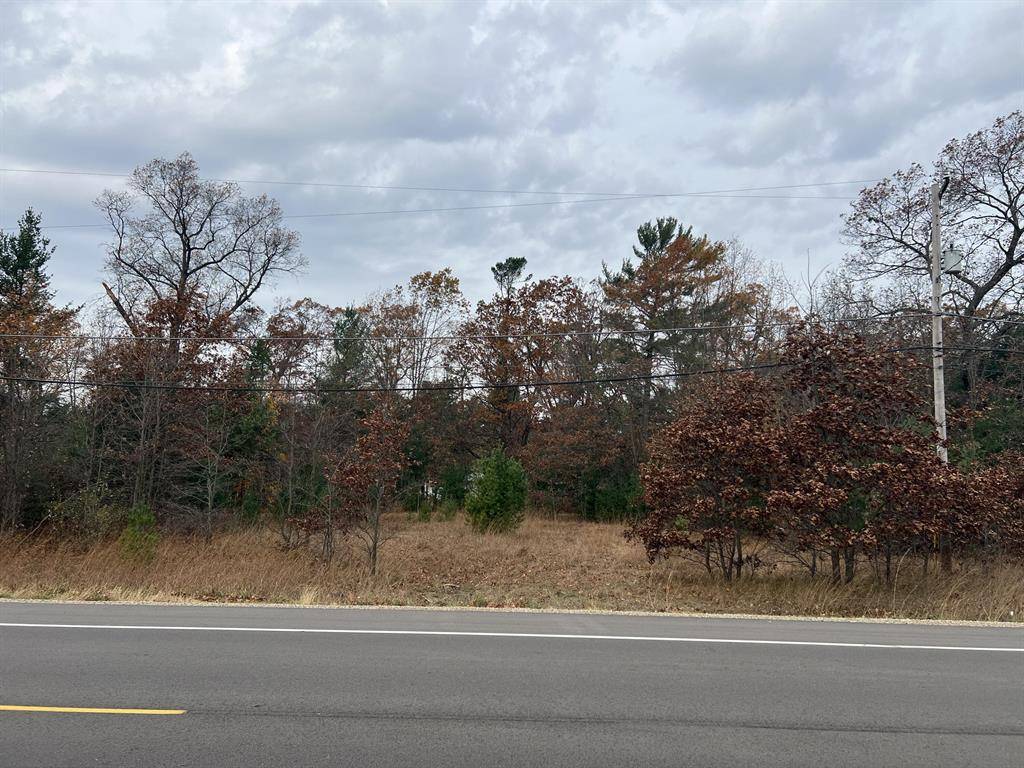Fruitland Twp, MI 49461,VL Whitehall Road 0001