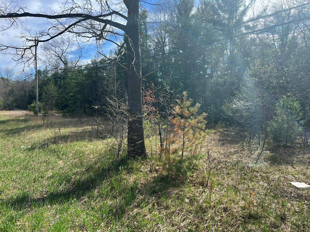 Fruitland Twp, MI 49461,VL Whitehall Road 0001