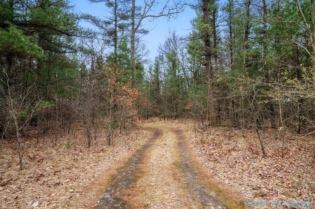 Fruitland Twp, MI 49461,VL Whitehall Road