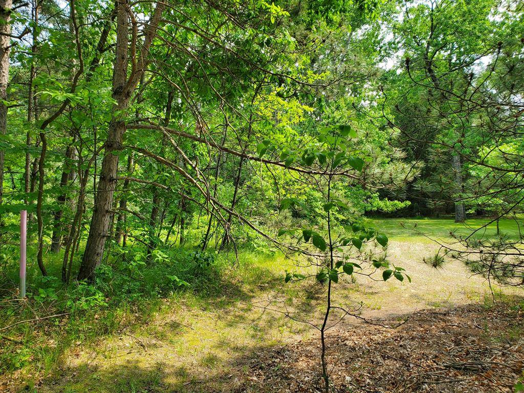 Wilcox Twp, MI 49349,998 E Monroe Street