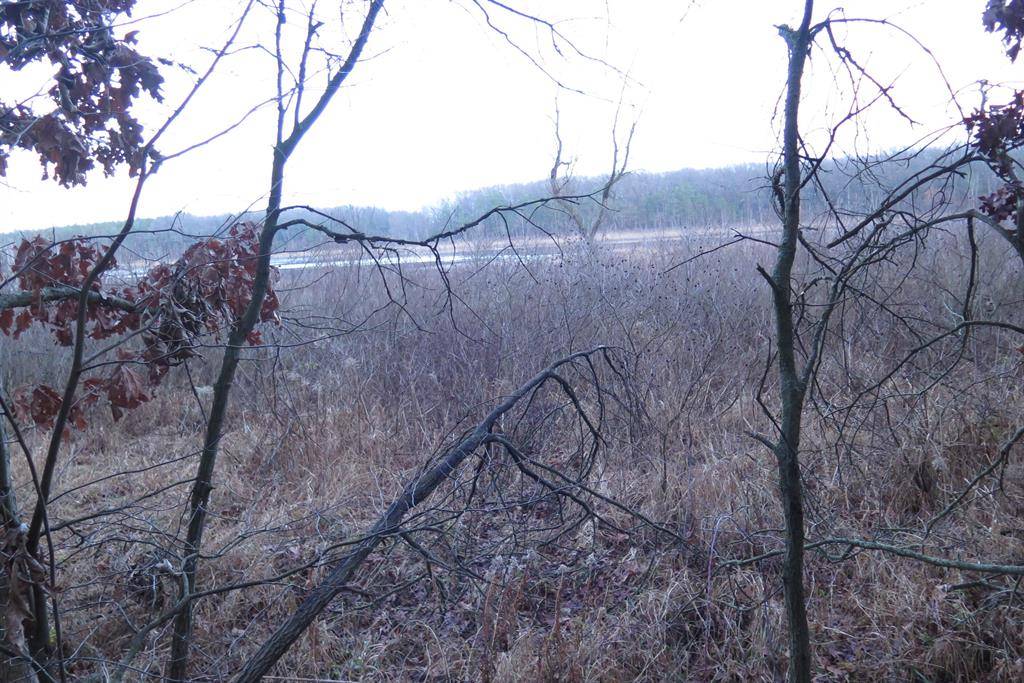 Egelston Twp, MI 49442,0 E Laketon