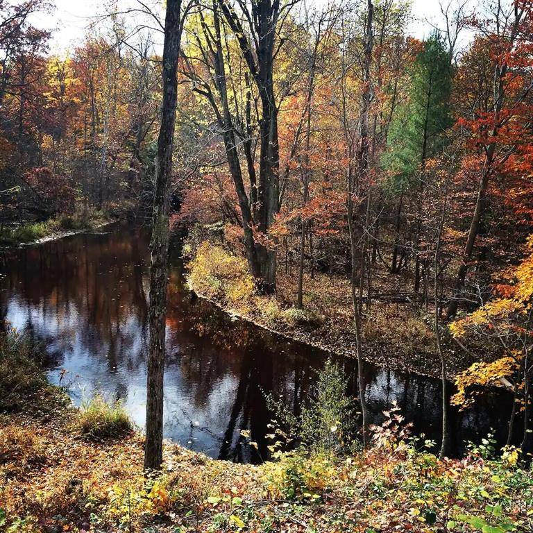 Casco Twp, MI 49450,NHN 105th Avenue
