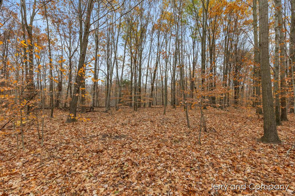 Casco Twp, MI 49450,NHN 105th Avenue