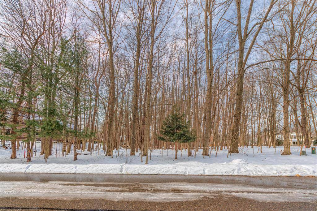 Douglas Vllg, MI 49406,3 Wildwood Lane