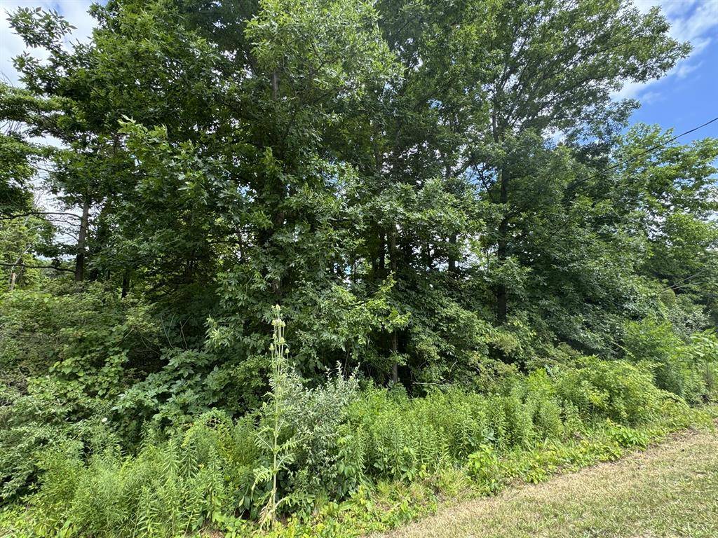 Ganges Twp, MI 49408,119th Avenue Modifier: V/L