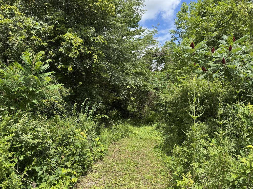 Ganges Twp, MI 49408,119th Avenue Modifier: V/L