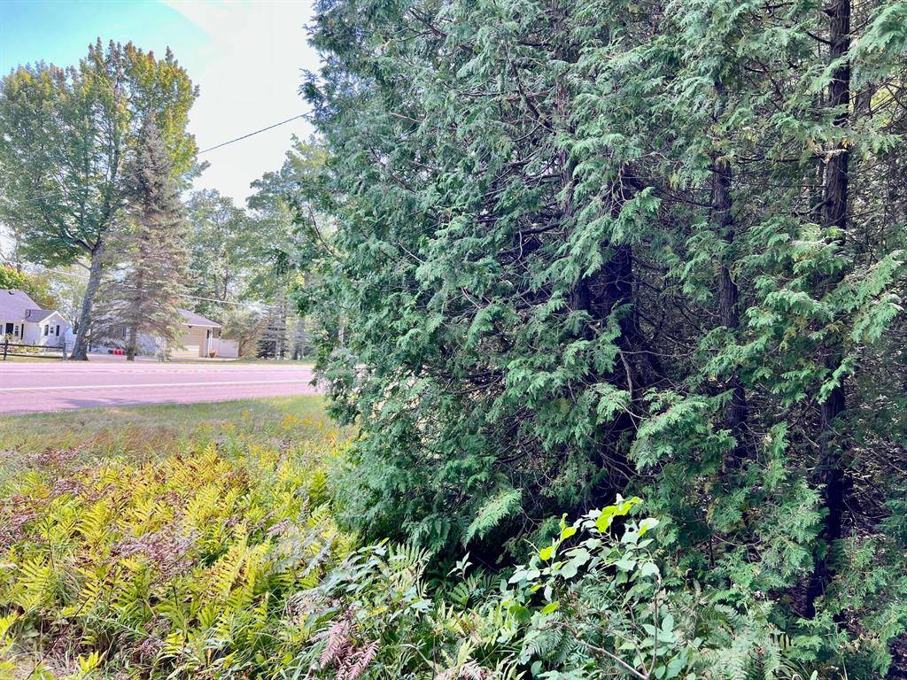 Greenbush Twp, MI 48738,3978 S U.S. 23