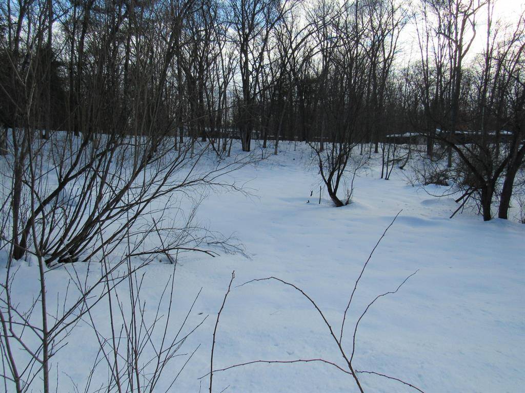 Norman Twp, MI 49689,V/L Marion Street