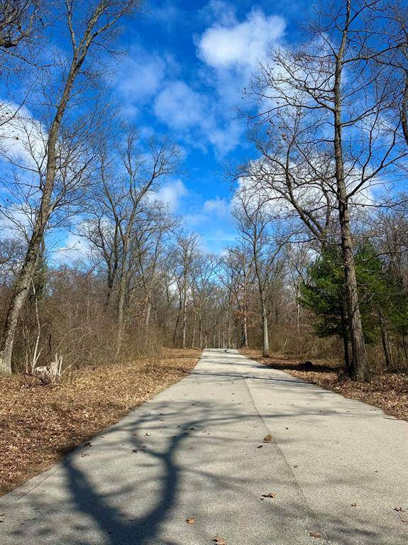 Saugatuck Twp, MI 49453,Gesh Trail, Lot 2