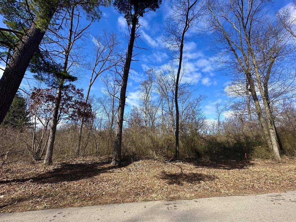Saugatuck Twp, MI 49453,Gesh Trail, Lot 2