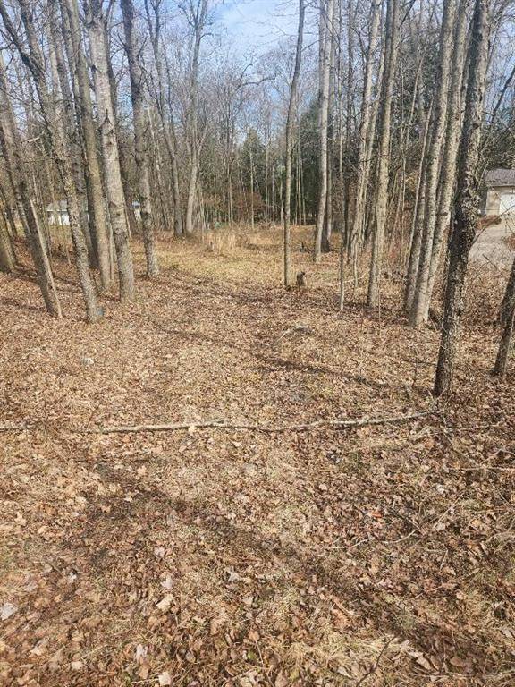 Lincoln Twp-newaygo, MI 49349,V/L N Meadowbrook Road Lot 42