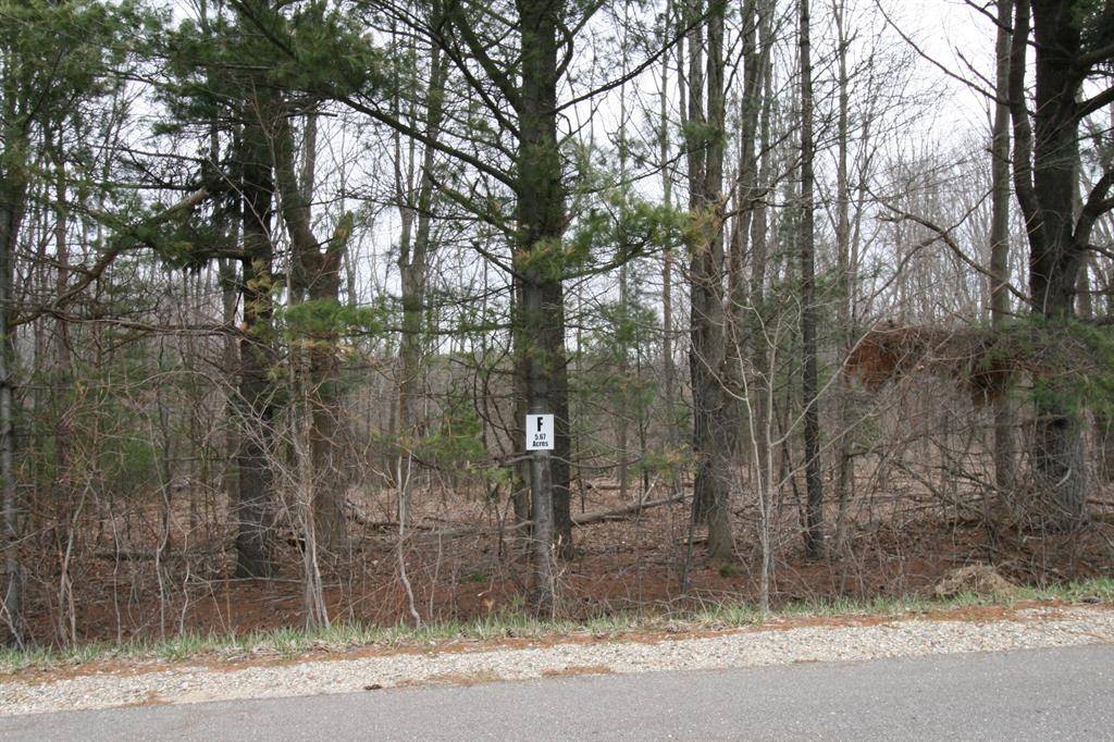 Casco Twp, MI 49090,B.1 111th Avenue