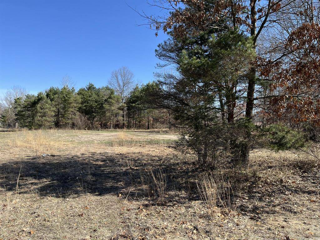 Newfield Twp, MI 49421,VL S 192nd Avenue