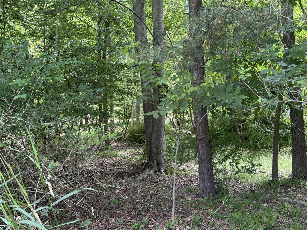 Douglas Vllg, MI 49406,125 W Shore Woods