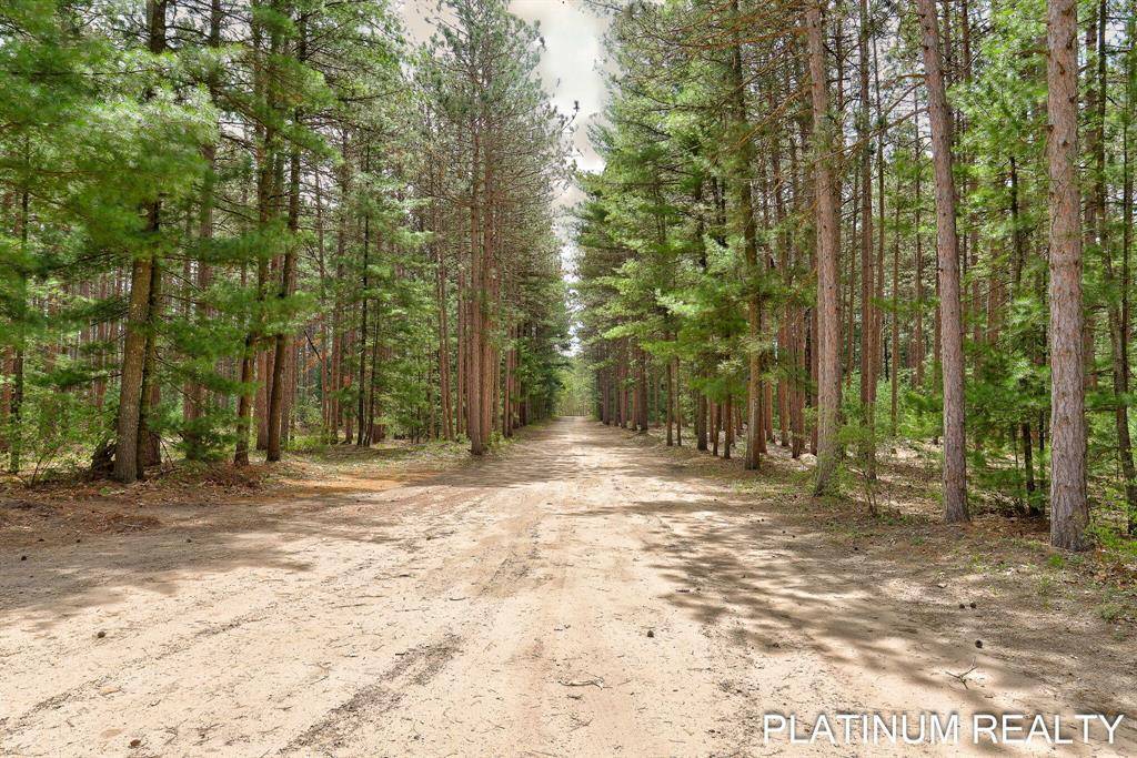 Holton Twp, MI 49425,4334 Brunswick Road