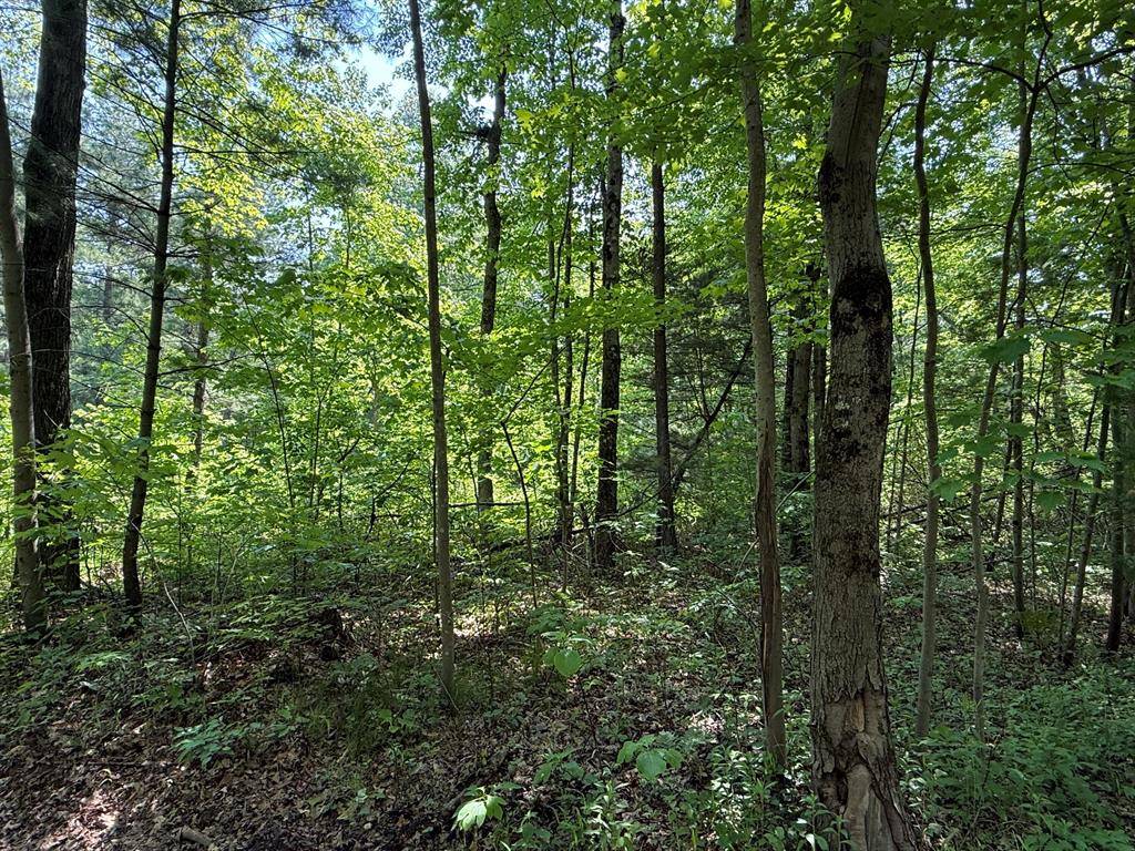 Cedar Creek Twp, MI 49457,0 Austin Road Modifier: V/L