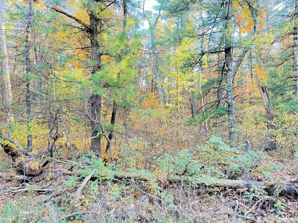 Brooks Twp, MI 49337,7.32AC E 58Th Street