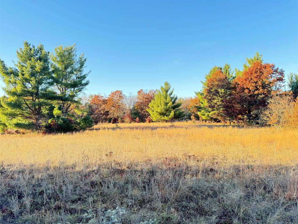 Brooks Twp, MI 49337,10.01AC Barberry Avenue
