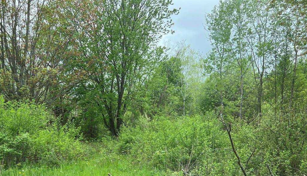 Fruitland Twp, MI 49445,5115 Lorenson Road